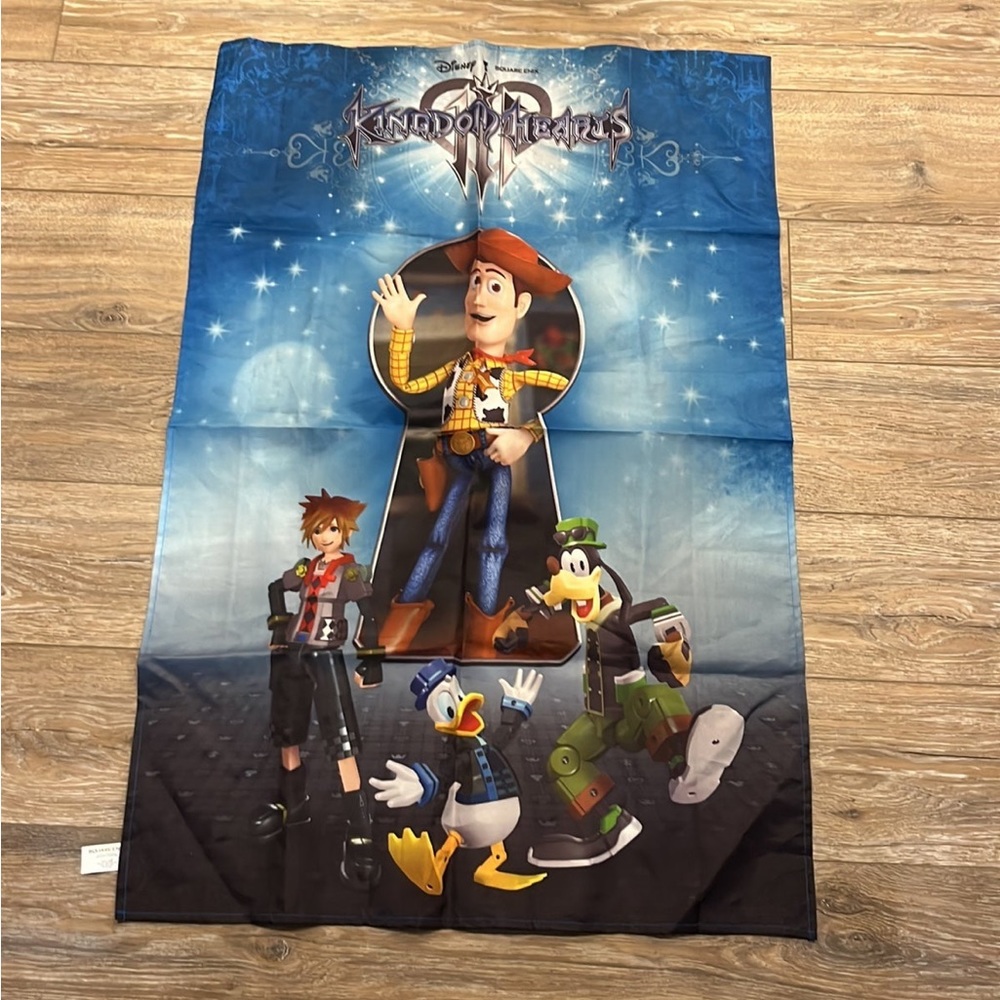 Disney wall hanging - kingdom hearts